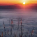 Grasses Facing Fogs during Golden Hours screen for extension Chrome web store in OffiDocs Chromium